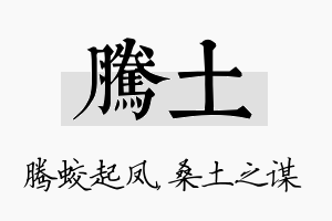 腾土名字的寓意及含义