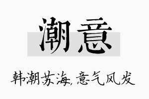 潮意名字的寓意及含义