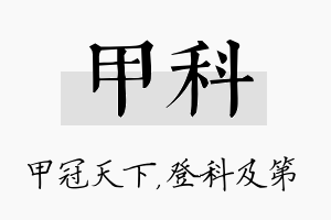 甲科名字的寓意及含义