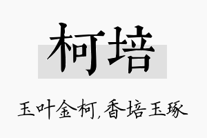 柯培名字的寓意及含义