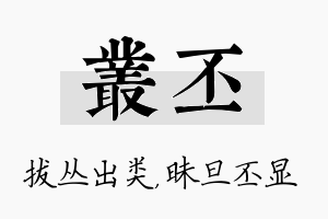 丛丕名字的寓意及含义