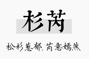 杉芮名字的寓意及含义