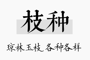 枝种名字的寓意及含义