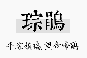 琮鹃名字的寓意及含义