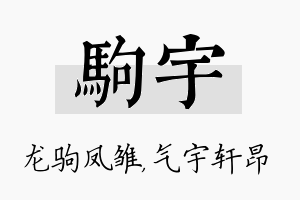 驹宇名字的寓意及含义