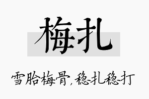 梅扎名字的寓意及含义