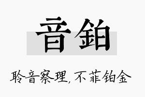 音铂名字的寓意及含义