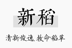 新稻名字的寓意及含义