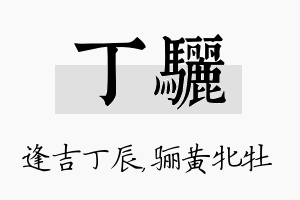 丁骊名字的寓意及含义