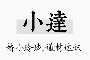 小达名字的寓意及含义