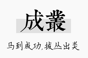 成丛名字的寓意及含义