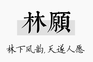 林愿名字的寓意及含义