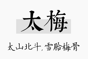 太梅名字的寓意及含义