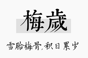 梅岁名字的寓意及含义