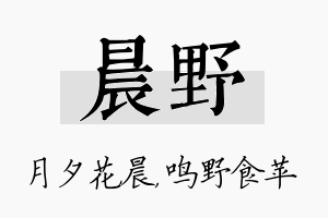 晨野名字的寓意及含义