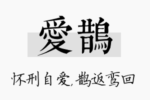 爱鹊名字的寓意及含义