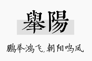 举阳名字的寓意及含义