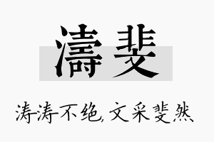 涛斐名字的寓意及含义