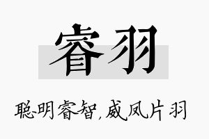 睿羽名字的寓意及含义