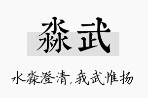 淼武名字的寓意及含义