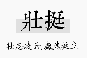 壮挺名字的寓意及含义