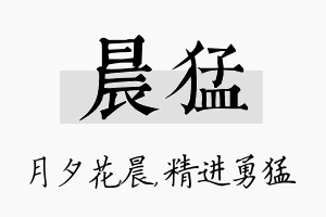 晨猛名字的寓意及含义