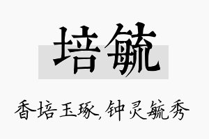 培毓名字的寓意及含义