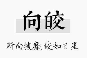 向皎名字的寓意及含义