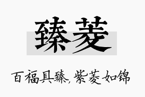 臻菱名字的寓意及含义