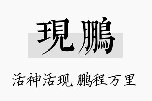 现鹏名字的寓意及含义