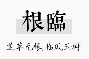 根临名字的寓意及含义