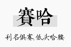 赛哈名字的寓意及含义