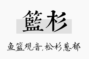 篮杉名字的寓意及含义