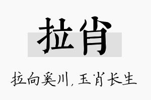 拉肖名字的寓意及含义