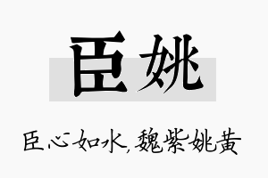 臣姚名字的寓意及含义