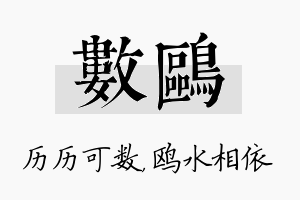 数鸥名字的寓意及含义