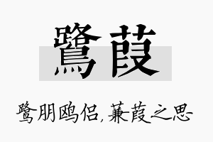 鹭葭名字的寓意及含义