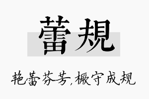 蕾规名字的寓意及含义