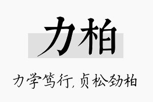 力柏名字的寓意及含义