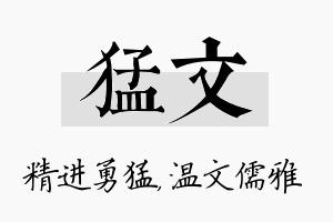 猛文名字的寓意及含义