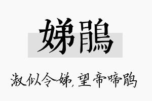 娣鹃名字的寓意及含义