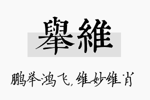 举维名字的寓意及含义