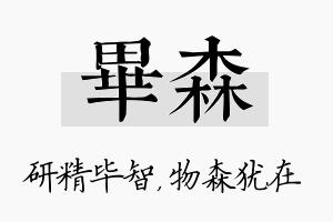 毕森名字的寓意及含义