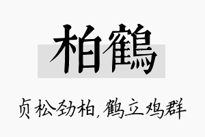 柏鹤名字的寓意及含义