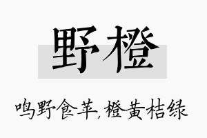 野橙名字的寓意及含义