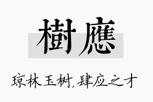 树应名字的寓意及含义