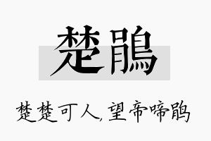 楚鹃名字的寓意及含义