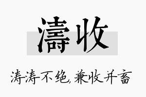 涛收名字的寓意及含义