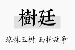 树廷名字的寓意及含义