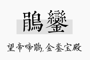 鹃銮名字的寓意及含义